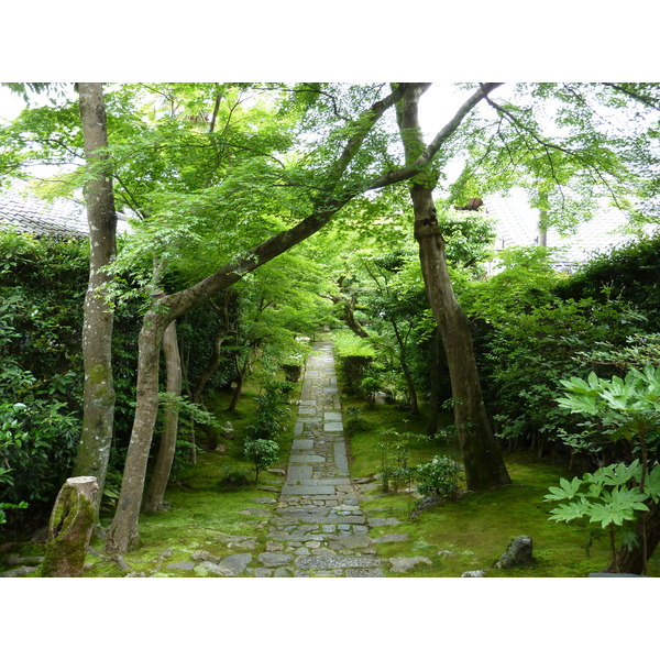 Picture Japan Kyoto Ryoanji Temple 2010-06 63 - Center Ryoanji Temple