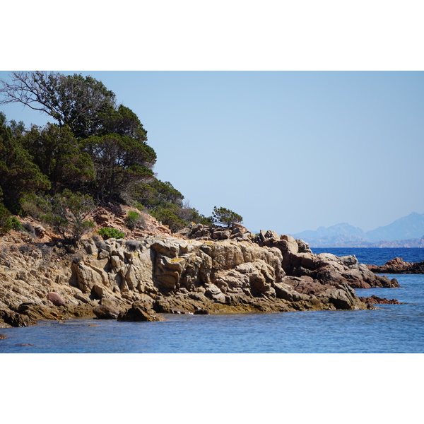 Picture France Corsica Rondinara Beach 2017-07 37 - History Rondinara Beach