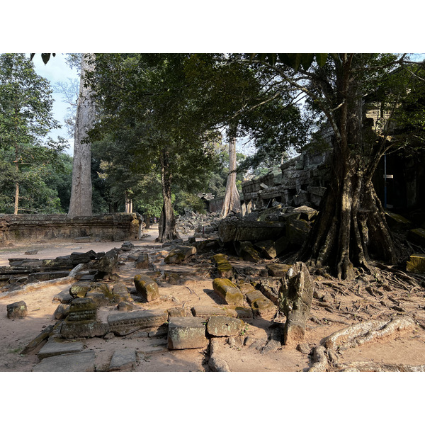 Picture Cambodia Siem Reap Ta Prohm 2023-01 122 - Center Ta Prohm