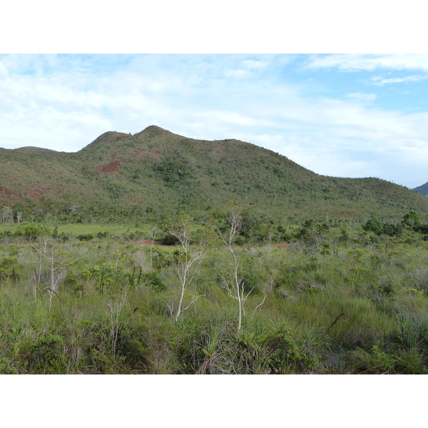 Picture New Caledonia Parc de la Riviere Bleue 2010-05 32 - History Parc de la Riviere Bleue