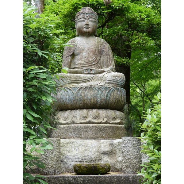 Picture Japan Kyoto Ryoanji Temple 2010-06 61 - Center Ryoanji Temple