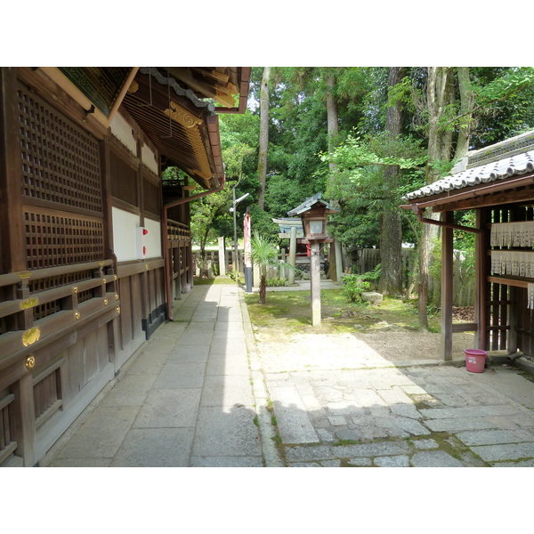 Picture Japan Kyoto Kyoto Gyoen Garden 2010-06 11 - Tour Kyoto Gyoen Garden