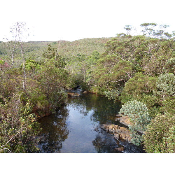 Picture New Caledonia Parc de la Riviere Bleue 2010-05 103 - Center Parc de la Riviere Bleue