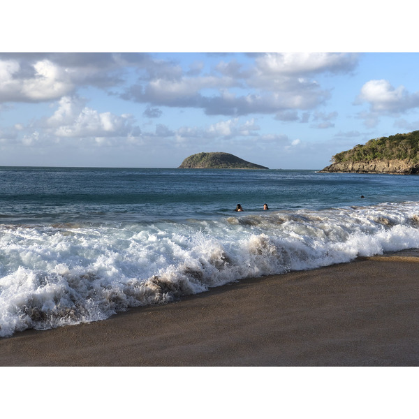 Picture Guadeloupe La Perle Beach 2021-02 133 - Tours La Perle Beach