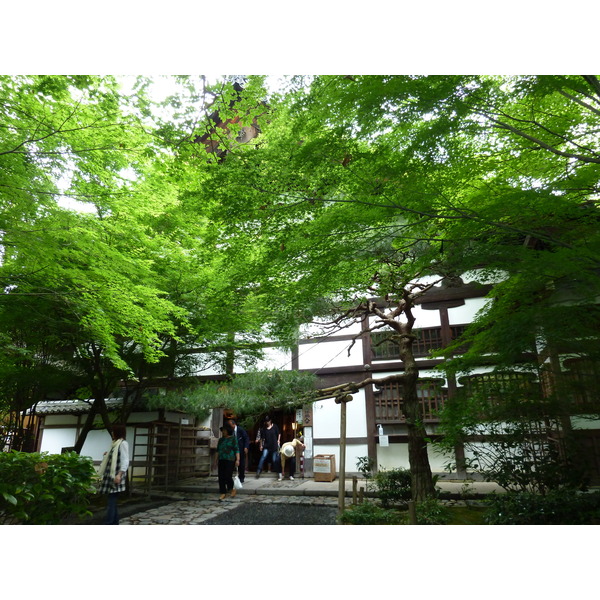 Picture Japan Kyoto Ryoanji Temple 2010-06 68 - Discovery Ryoanji Temple