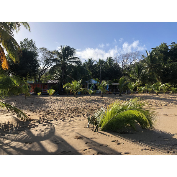 Picture Guadeloupe La Perle Beach 2021-02 33 - Discovery La Perle Beach