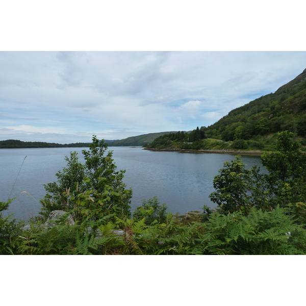 Picture United Kingdom Scotland Loch Linnhe 2011-07 73 - Tour Loch Linnhe