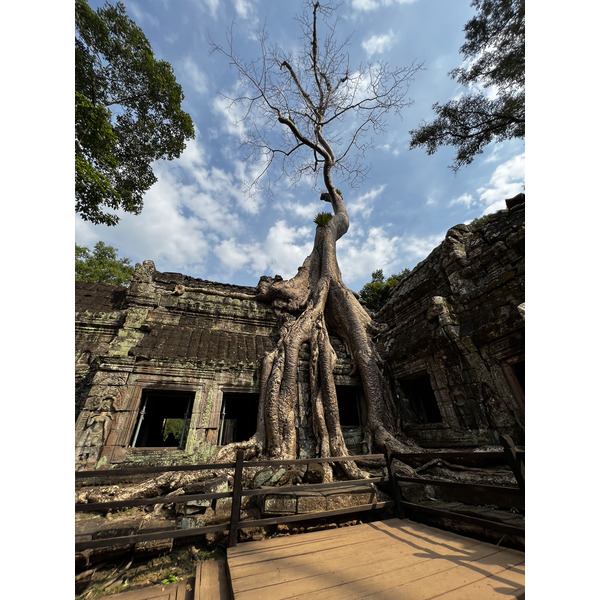 Picture Cambodia Siem Reap Ta Prohm 2023-01 47 - Recreation Ta Prohm