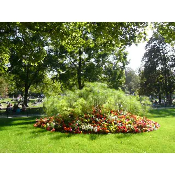 Picture France Paris Monceau Garden 2007-09 4 - History Monceau Garden