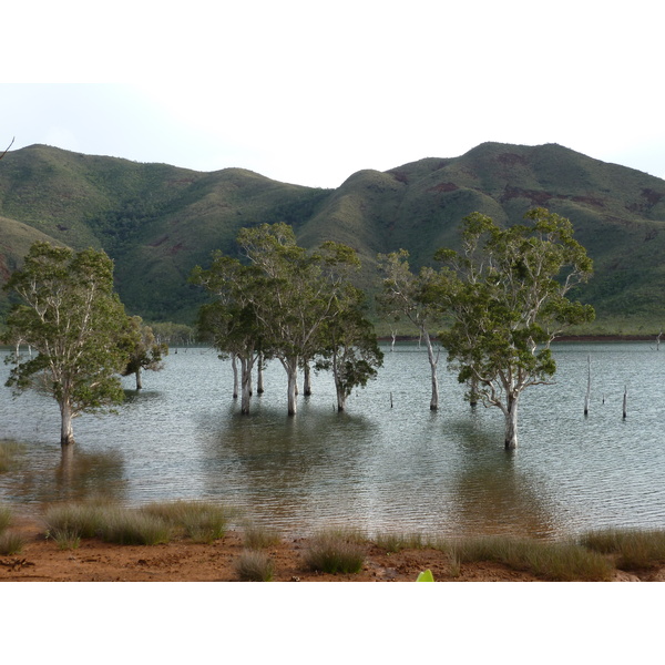 Picture New Caledonia Parc de la Riviere Bleue 2010-05 73 - Tours Parc de la Riviere Bleue