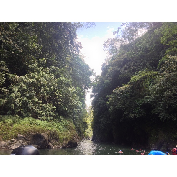 Picture Costa Rica Pacuare River 2015-03 269 - Tour Pacuare River