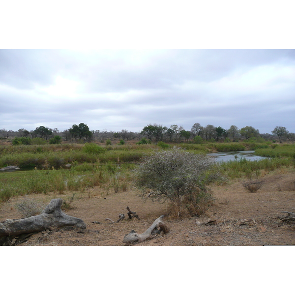 Picture South Africa Kruger National Park Sable River 2008-09 23 - Journey Sable River