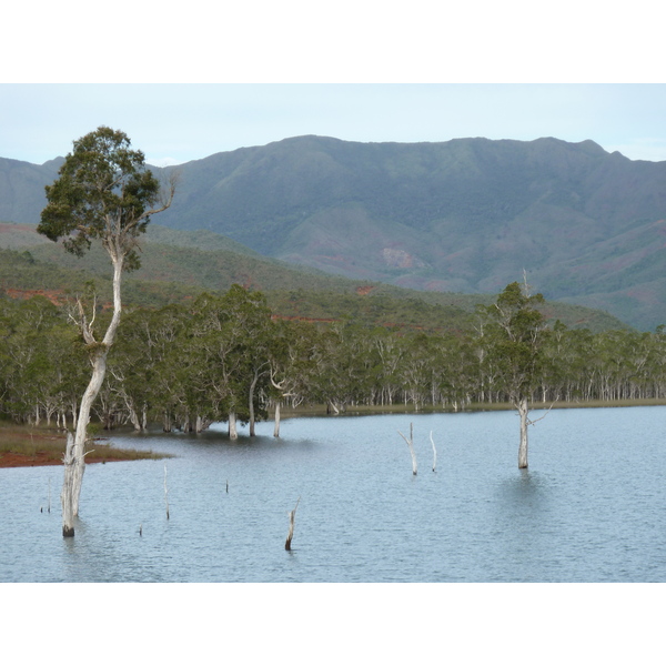 Picture New Caledonia Parc de la Riviere Bleue 2010-05 26 - Recreation Parc de la Riviere Bleue