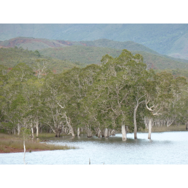 Picture New Caledonia Parc de la Riviere Bleue 2010-05 33 - Center Parc de la Riviere Bleue