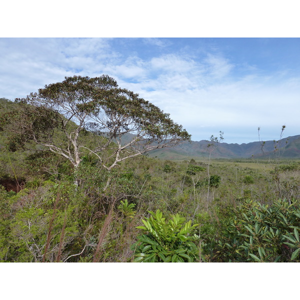 Picture New Caledonia Parc de la Riviere Bleue 2010-05 116 - History Parc de la Riviere Bleue