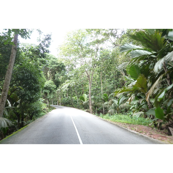 Picture Seychelles Vallee de Mai 2011-10 56 - Journey Vallee de Mai