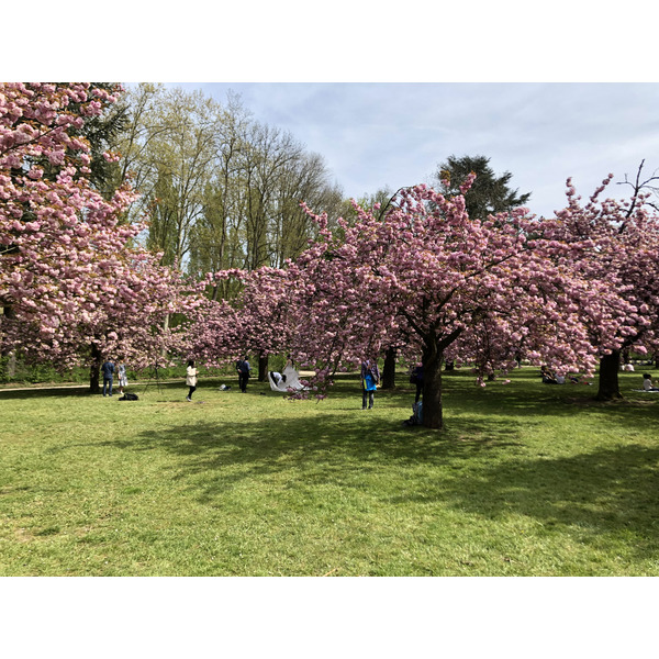 Picture France Parc de Sceaux 2019-04 10 - Around Parc de Sceaux