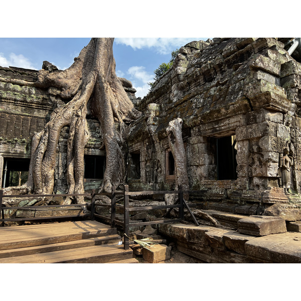 Picture Cambodia Siem Reap Ta Prohm 2023-01 72 - Discovery Ta Prohm