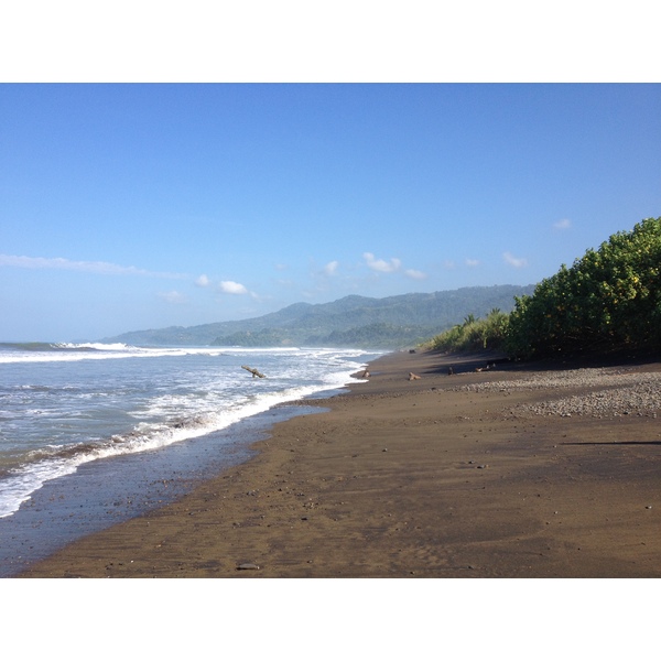 Picture Costa Rica Uvita 2015-03 94 - Tour Uvita