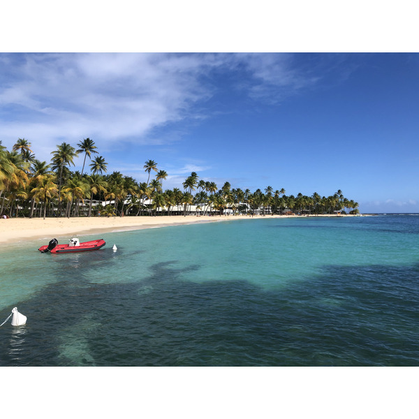 Picture Guadeloupe La Caravelle Beach 2021-02 67 - Tours La Caravelle Beach