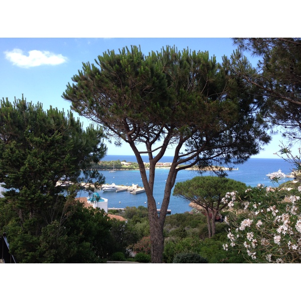 Picture Italy Sardinia Porto Cervo 2015-06 47 - Discovery Porto Cervo