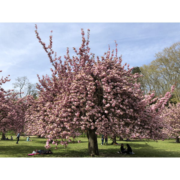 Picture France Parc de Sceaux 2019-04 95 - History Parc de Sceaux