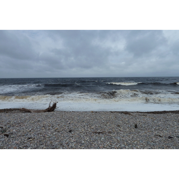 Picture United Kingdom Scotland Moray Coast 2011-07 8 - Center Moray Coast