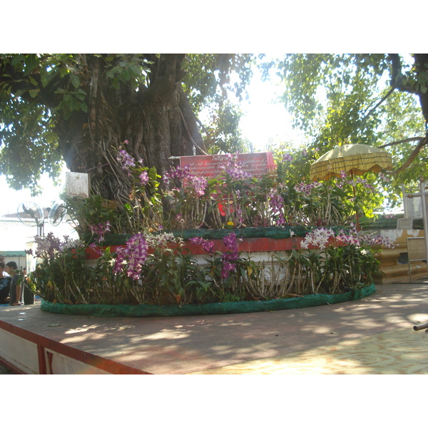 Picture Thailand Phitsanulok Wat Pra Sri Rattana Mahathat Vora Maha Vihar 2008-01 61 - Tours Wat Pra Sri Rattana Mahathat Vora Maha Vihar