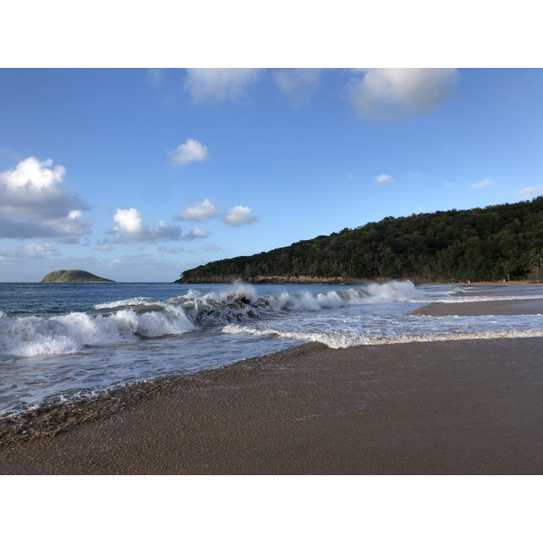 Picture Guadeloupe La Perle Beach 2021-02 9 - Discovery La Perle Beach