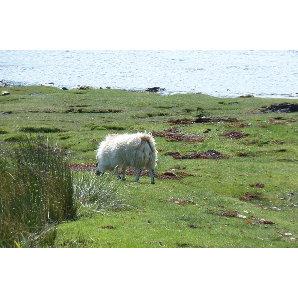 Picture United Kingdom Skye The Cullins 2011-07 24 - Discovery The Cullins