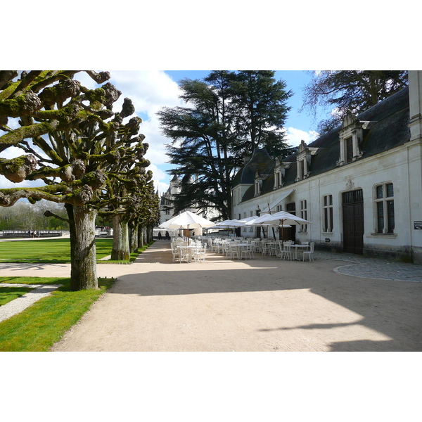 Picture France Chenonceau Castle Gardens of Chenonceau 2008-04 84 - Recreation Gardens of Chenonceau