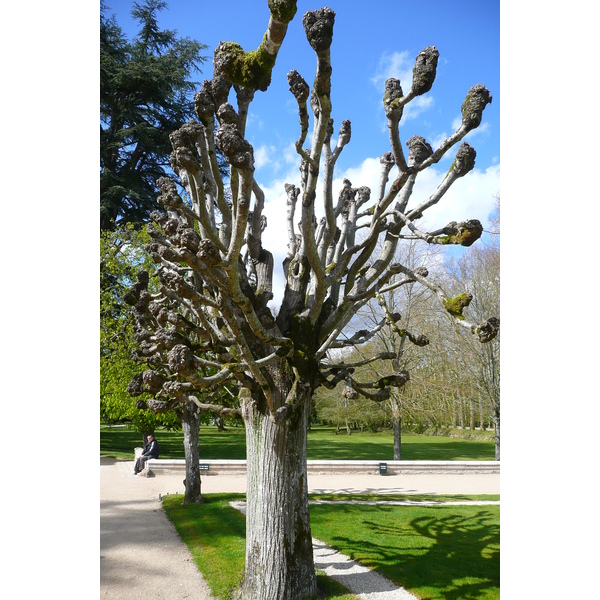 Picture France Chenonceau Castle Gardens of Chenonceau 2008-04 90 - Journey Gardens of Chenonceau