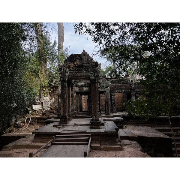 Picture Cambodia Siem Reap Ta Prohm 2023-01 54 - Tour Ta Prohm