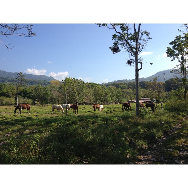 Picture Costa Rica Uvita 2015-03 13 - Tours Uvita