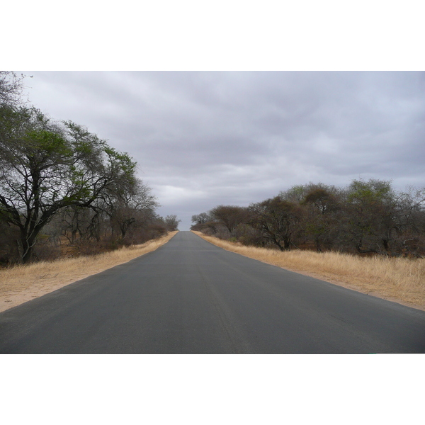 Picture South Africa Kruger National Park Sable River 2008-09 82 - Journey Sable River