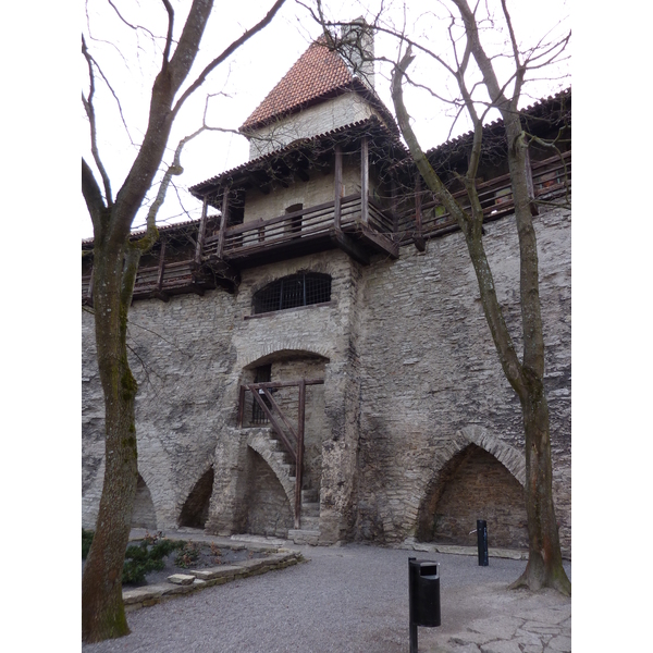 Picture Estonia Tallinn Old Tallinn 2009-04 20 - Tour Old Tallinn