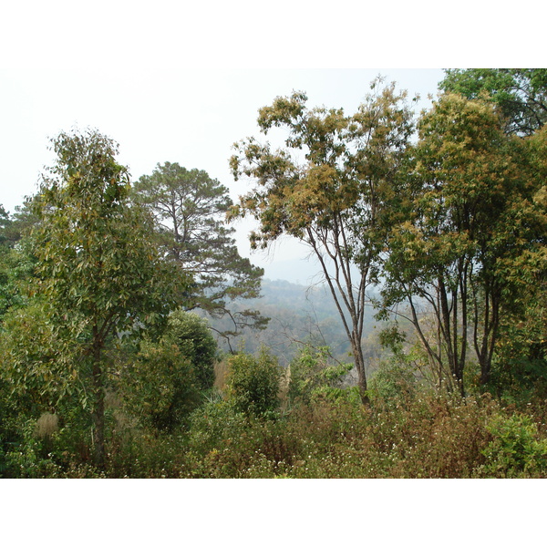 Picture Thailand Chiang Mai to Pai road 2007-02 46 - History Chiang Mai to Pai road