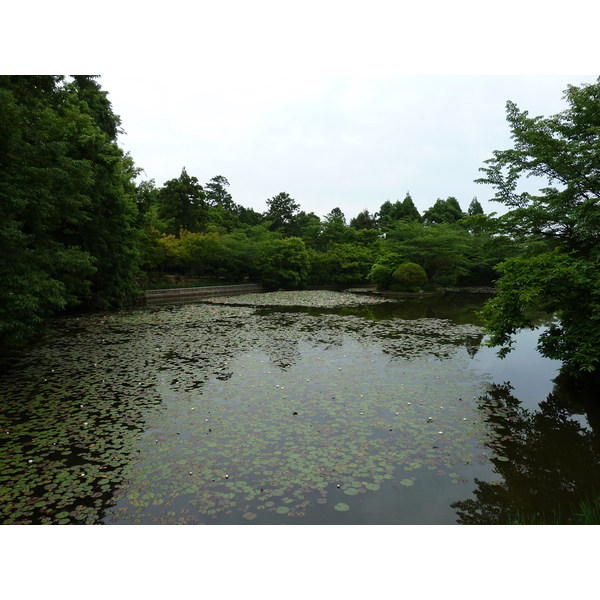 Picture Japan Kyoto Ryoanji Temple 2010-06 17 - Tour Ryoanji Temple