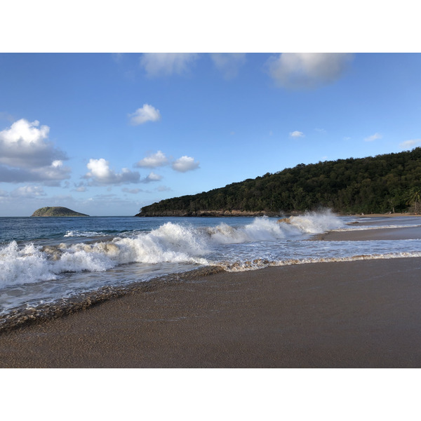 Picture Guadeloupe La Perle Beach 2021-02 50 - Discovery La Perle Beach