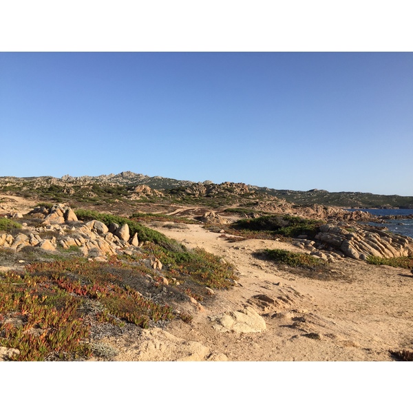 Picture France Corsica Tonnara Beach 2017-07 30 - Center Tonnara Beach