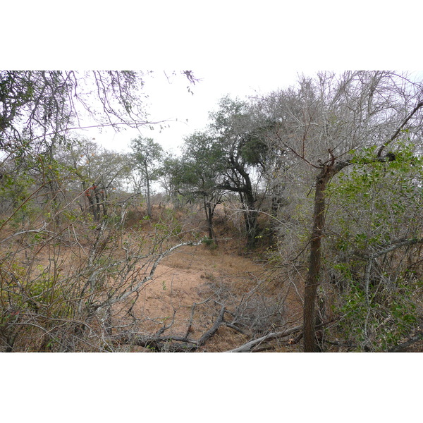 Picture South Africa Kruger National Park 2008-09 143 - History Kruger National Park