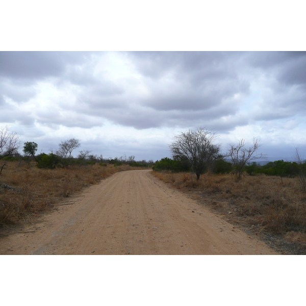 Picture South Africa Kruger National Park Crocodile River road 2008-09 46 - Tours Crocodile River road