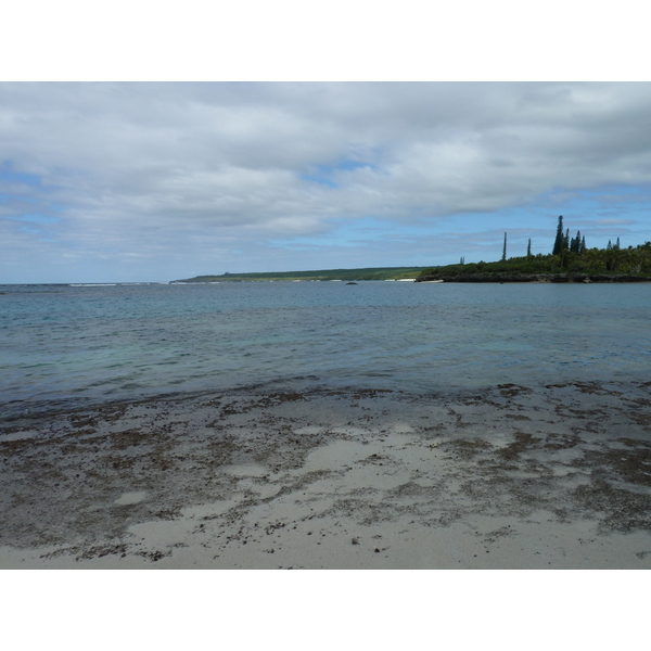 Picture New Caledonia Lifou Baie des tortues 2010-05 34 - Tours Baie des tortues