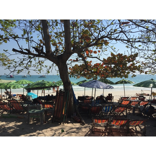 Picture Thailand Koh Samet 2016-01 43 - Tours Koh Samet