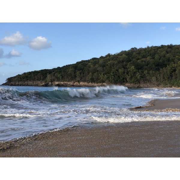 Picture Guadeloupe La Perle Beach 2021-02 49 - Tour La Perle Beach