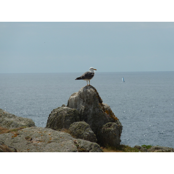 Picture France Ile d'yeu 2009-07 89 - Discovery Ile d'yeu