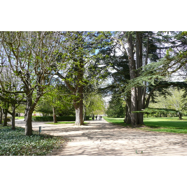 Picture France Chenonceau Castle Gardens of Chenonceau 2008-04 3 - Center Gardens of Chenonceau