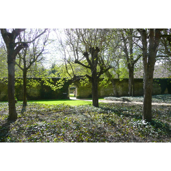 Picture France Chenonceau Castle Gardens of Chenonceau 2008-04 27 - Center Gardens of Chenonceau