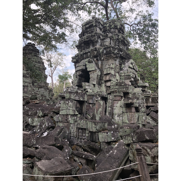 Picture Cambodia Siem Reap Ta Prohm 2023-01 106 - Recreation Ta Prohm