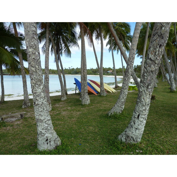 Picture New Caledonia Lifou Baie des tortues 2010-05 35 - History Baie des tortues